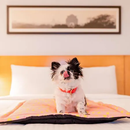 Otel Ibis Ostrobramska